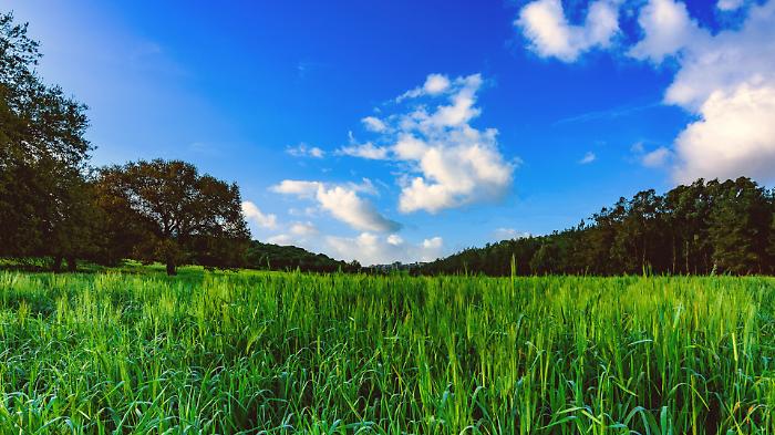 Addio freddo, l'Umbria abbraccia la primavera nel weekend di Pasqua: sole e temperature oltre i 20 gradi