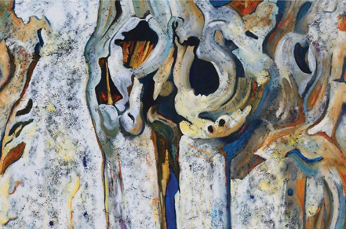 Narni, Palazzo Eroli ospita la mostra &ldquo;L&rsquo;ulivo e il castagno. Segni del sacro nella terra di Francesco&rdquo; 