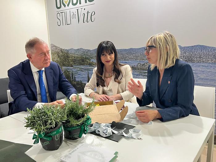 Terni, incontro a Vinitaly tra il ministro Urso e la presidente Proietti: focus su Ast e nodo energia