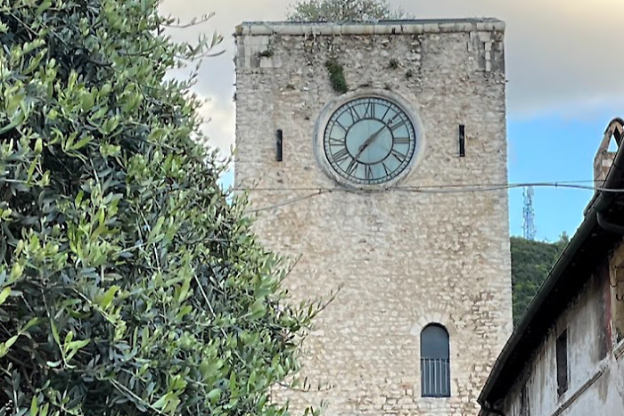 arrone terra fiore manifestazione