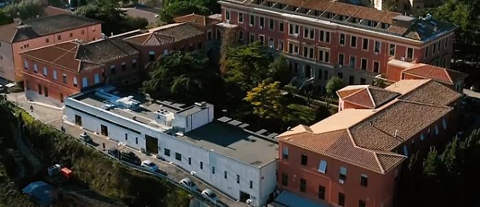 Emergenza sangue per gatti e cani: a Perugia come funziona l'ospedale veterinario e l'emoteca