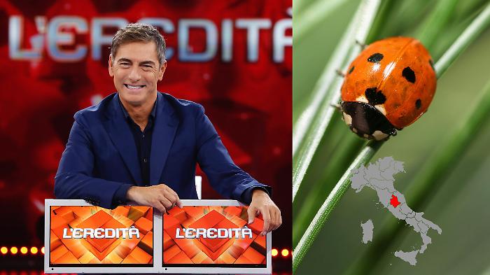 Il dialetto perugino arriva a L&rsquo;Eredit&agrave;: ecco cosa significa "g&igrave; &rsquo;n giro &rsquo;n girigiola" (e perch&eacute; ha messo in difficolt&agrave; i concorrenti)