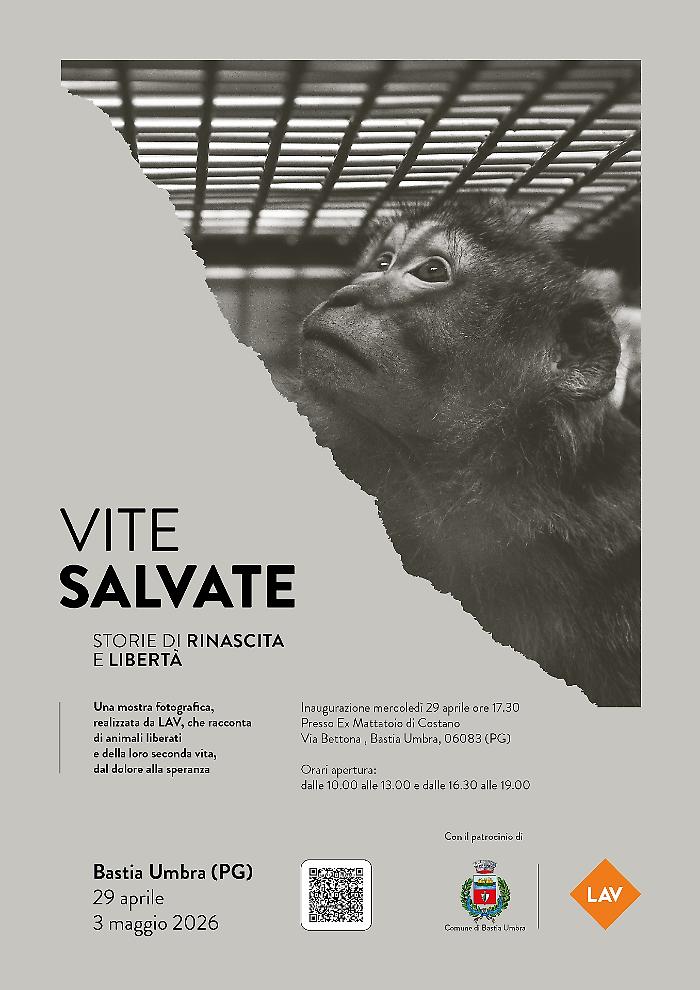 Bastia Umbra, con Vite salvate in mostra l'impegno della Lav a tutela degli animali: nelle immagini storie di rinascita e libert&agrave; 