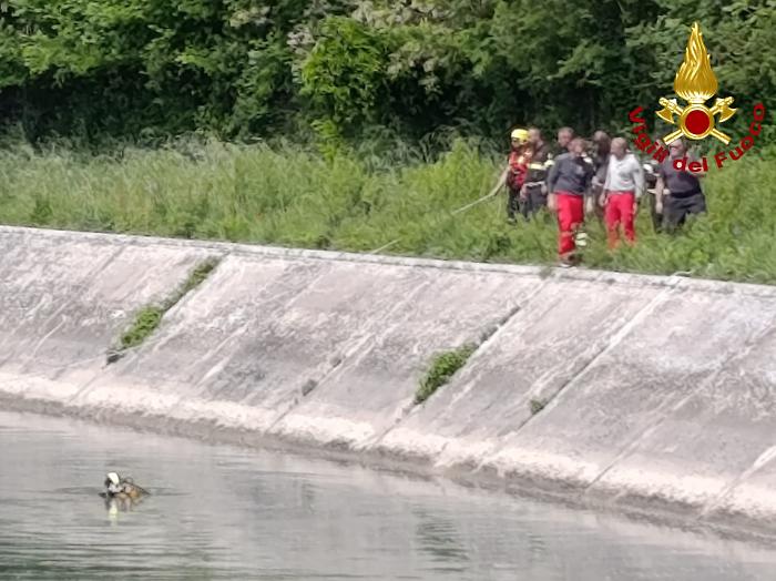 Ricerche serrate per il sessantenne scomparso nel ternano: aveva abbandonato l'auto vicino al canale recentino