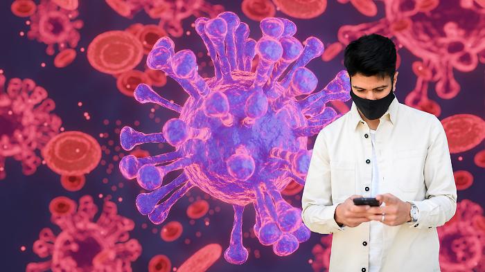 Hantavirus e TikTok: perch&eacute; il Covid non ci ha lasciati