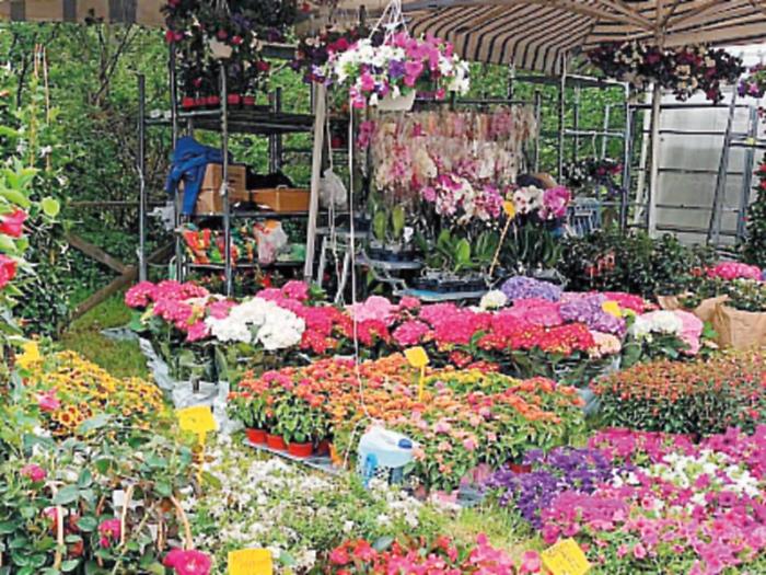 A Sant'Anatolia di Narco sboccia la Primavera in Valnerina: ai nastri la 18esima edizione