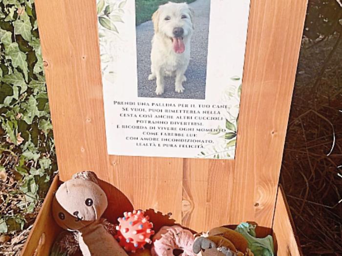 Dona pupazzi e palline dopo la morte della sua cagnolina: “Al Lido Tevere i cani giocano in memoria della mia Kami”