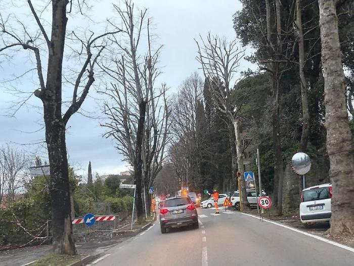 Caos a Viale Roma: lavori di potatura bloccano il traffico nelle ore di punta
