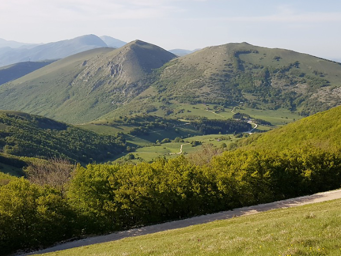 Gualdo Tadino, c'&egrave; il piano di gestione forestale. Comunanza agraria: "Nuova fase per la tutela e la valorizzazione del territorio"