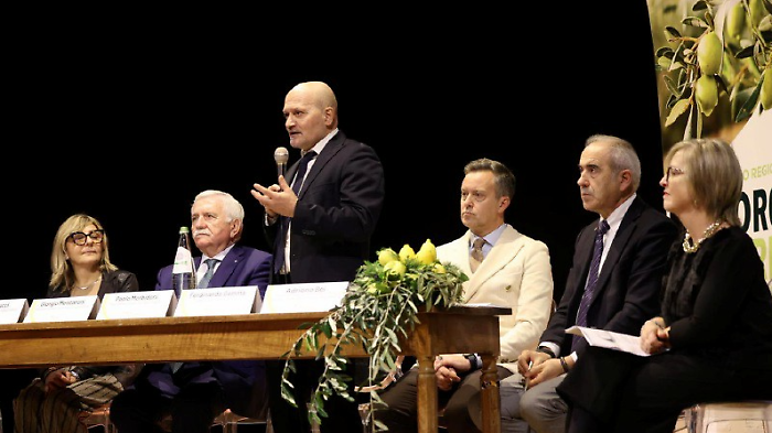 Olio evo, la qualit&agrave; non tradisce: i dati dell&rsquo;annata 2025 da 4.500 tonnellate di olive oltre 736.000 litri