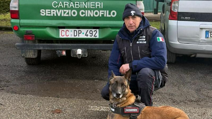 Altri tre gatti morti, ispezioni nei parchi con un'unit&agrave; cinofila dei carabinieri