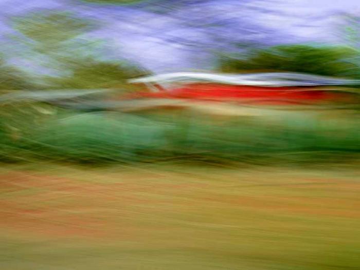 Lo spirito della natura all&rsquo;Allegretti Curator Lab