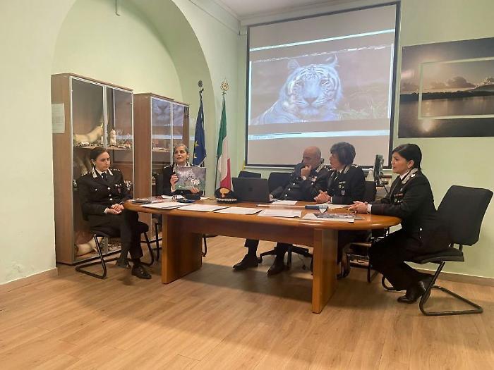 &Egrave; ancora allarme reati ambientali: oltre 700 in un anno