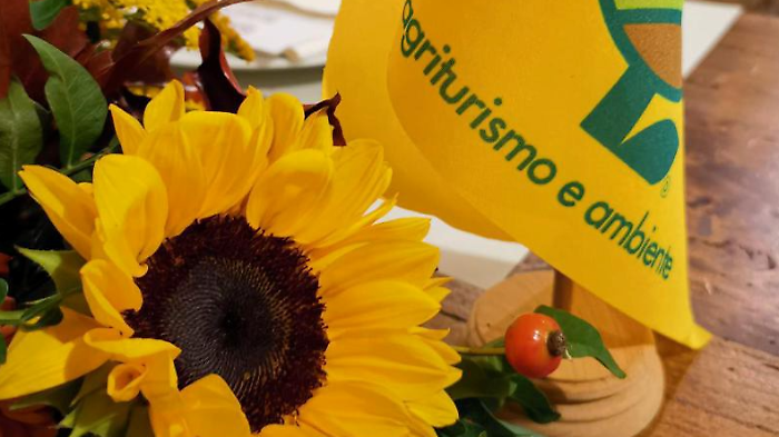 Imposta di soggiorno, scoppia la polemica: Coldiretti e Terranostra bacchettano l&rsquo;amministrazione per gli effetti degli aumenti sugli agriturismi