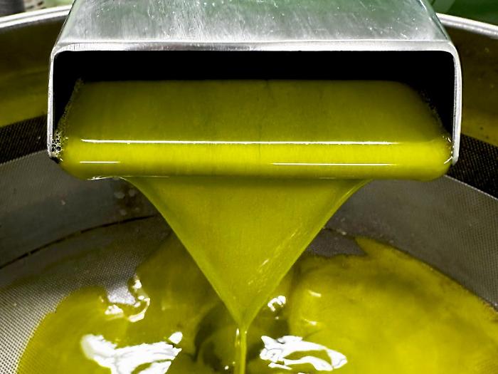 Maxi truffa dell&rsquo;olio, il gip archivia l&rsquo;inchiesta dopo la richiesta del pm