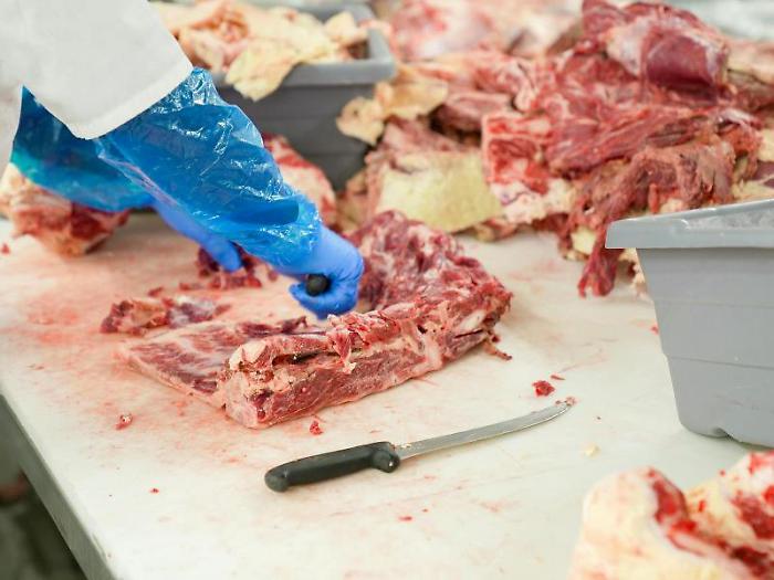 La macelleria fa troppo rumore: esposto della parrocchia in Comune