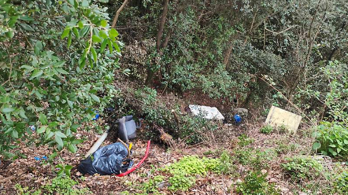 Il Bosco sacro ridotto a discarica: abbandonati rifiuti ingombranti di ogni genere