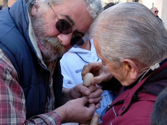 A Montefalco rivive la tradizione: torna la sfida della Ciuccetta