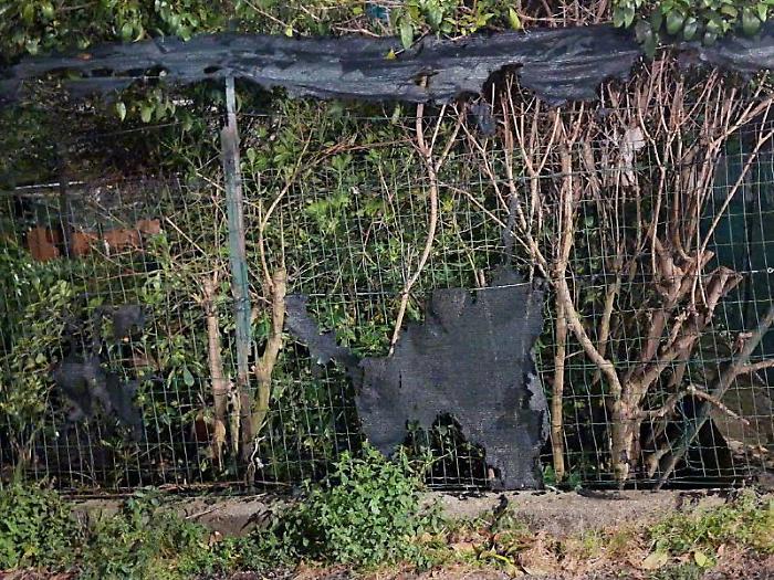 Torna l&rsquo;incubo della piromane a Fontivegge