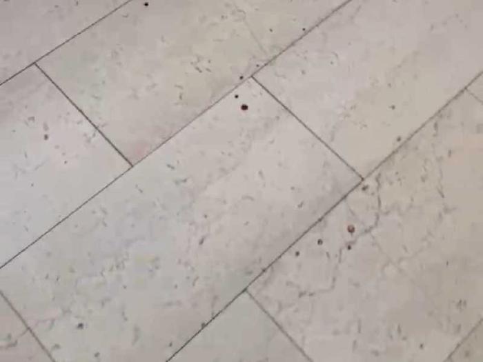Sangue nel palazzo di via del Macello Indagano i carabinieri