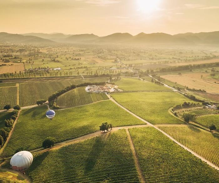 Arnaldo Caprai, premio Onu all'azienda agricola per aver dato lavoro a stranieri richiedenti asilo