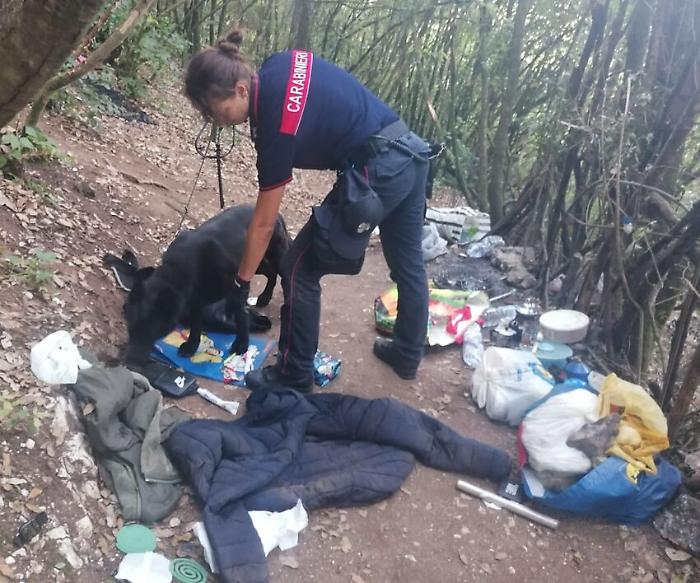 Spaccio di droga nei boschi tra Marmore e Piediluco: un arresto a Terni