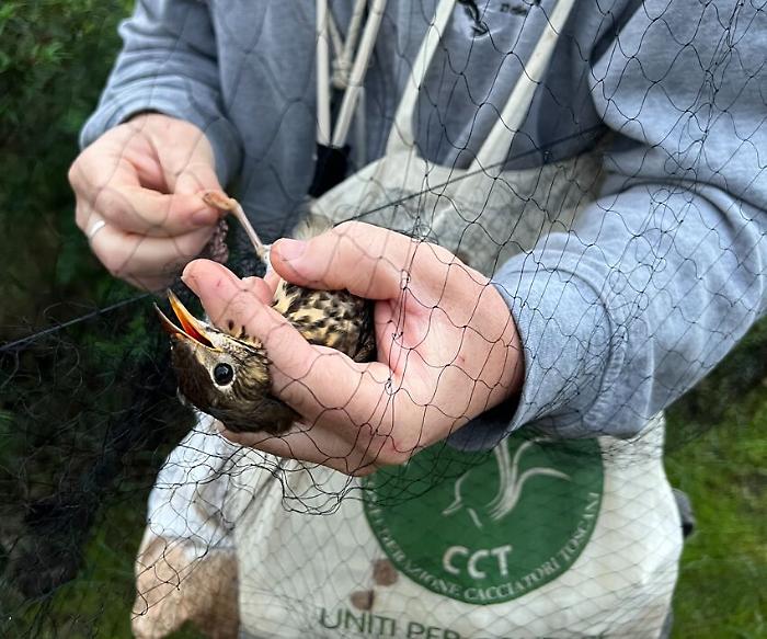 Follonica, comune sigla convenzione "progetto Migratoria per salvare pulli e cuccioli in difficolt&agrave;