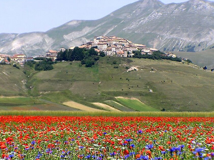 Oltre 10 milioni di euro per la ricostruzione di Castelluccio di Norcia. Lavori su strade, terrazzamenti e sottoservizi del nucleo abitato