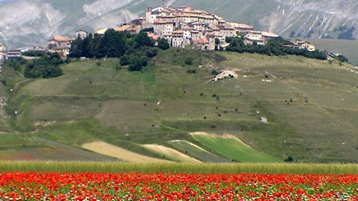 Fioritura