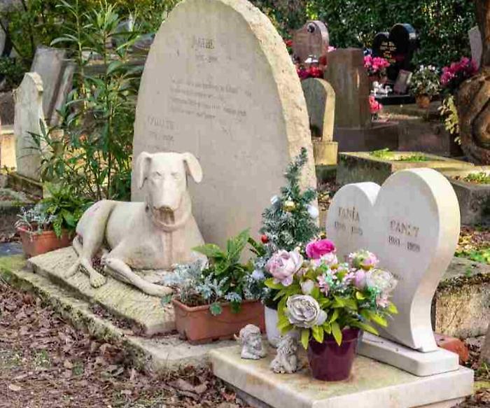 terni cimitero animali cani