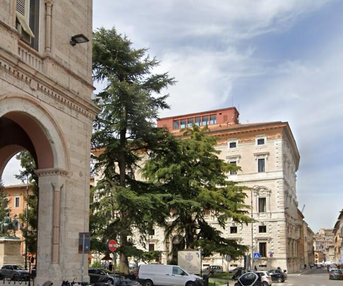 Perugia, altri nove alberi nella lista dei monumentali. I più grandi si trovano a Collestrada
