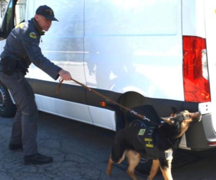 Unità cinofile in azione a Fontivegge