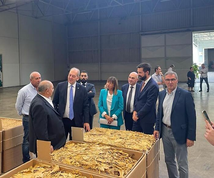 Jti Italia investe in Umbria. La Pietra: "Il Paese è protagonista della produzione di tabacco"