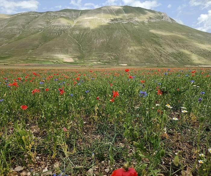 Gambero Rosso consiglia dove mangiare a Norcia e Castelluccio: ecco i 9 indirizzi migliori
