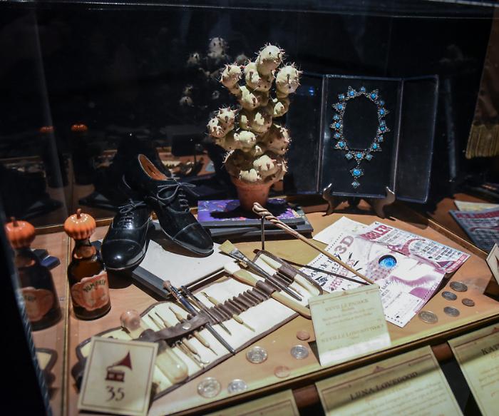 Harry Potter, nella mostra a Palazzo del Bargello si ricrea la scuola di Hogwarts Gubbio Umbria