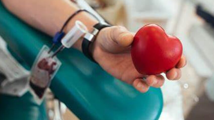In Umbria nasce l'Officina trasfusionale unica: una sola banca del sangue per 40 mila donazioni l'anno