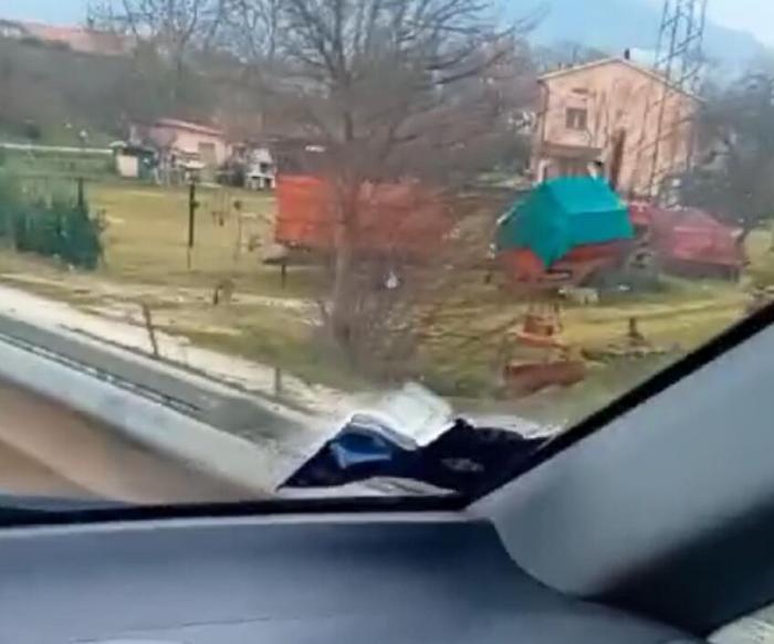 Gubbio, branco di lupi attaccano un allevamento: morte sbranate due capre. Il video 