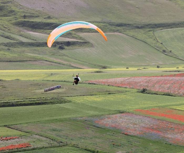 Fioritura dell'altopiano di Castelluccio di Norcia, sinfonia di colori e paesaggi unici