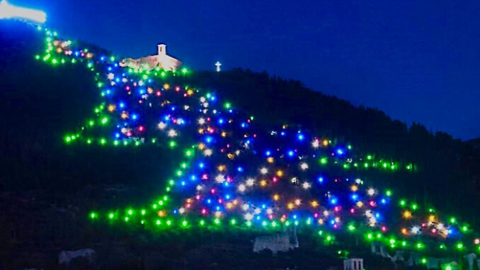 L'Albero più grande del mondo
