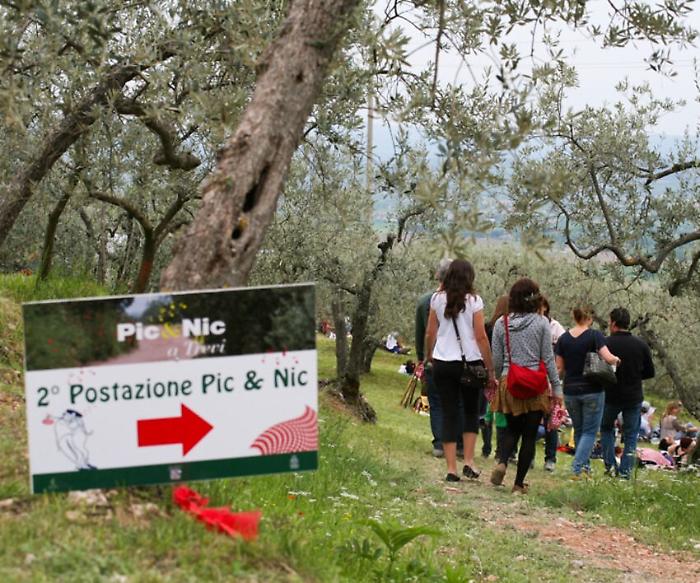 Pic &amp; Nic, l'evento dedicato a natura e bellezza: arte, musica e merende tra gli olivi