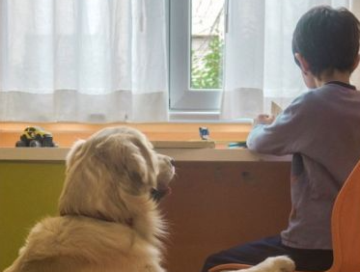 bambino col cane in ospedale