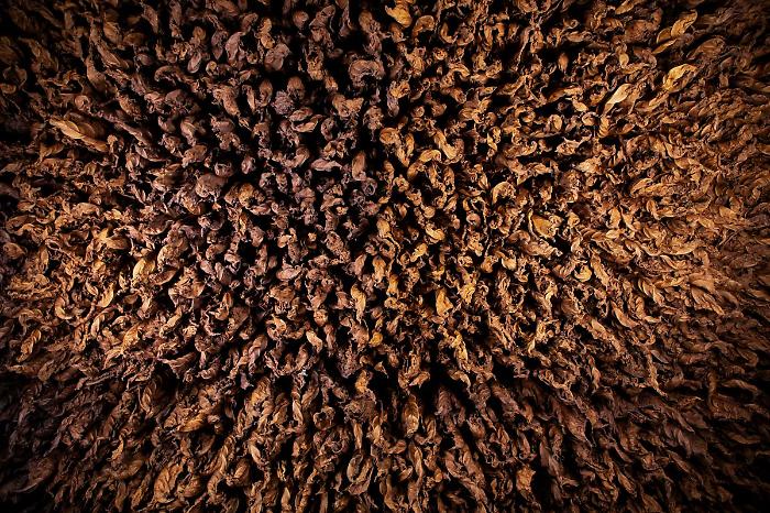 Manifatture Sigaro Toscano lancia "Terre", omaggio alle radici italiane