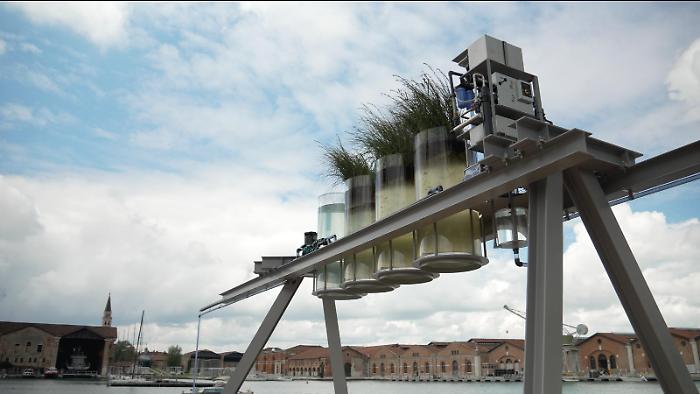Biennale Architettura, l'impegno di Webuild contro l'emergenza idrica