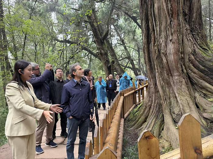 Cina-Italia: Strada per Shu e Via Appia, dialogo attraverso montagne e mari