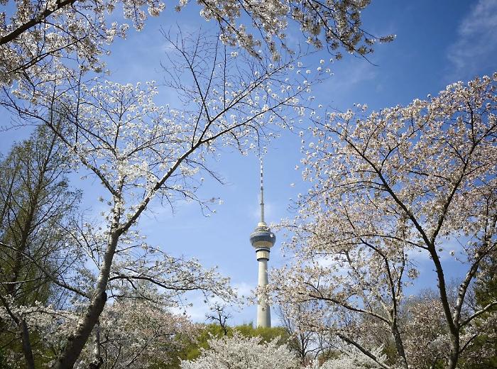 Pechino, quasi eliminate le giornate con livello "grave" di inquinamento