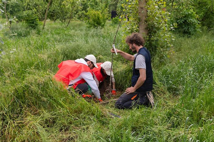 Ambiente, il Progetto Boschi di E.ON supera i 150.000 alberi piantati