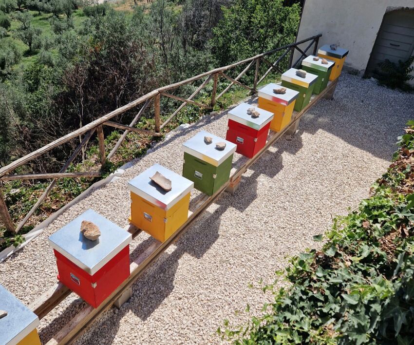 arnie azienda metelli api foligno