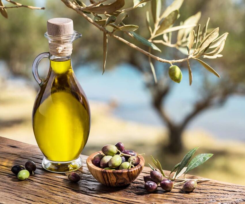 olio olivo frantoio