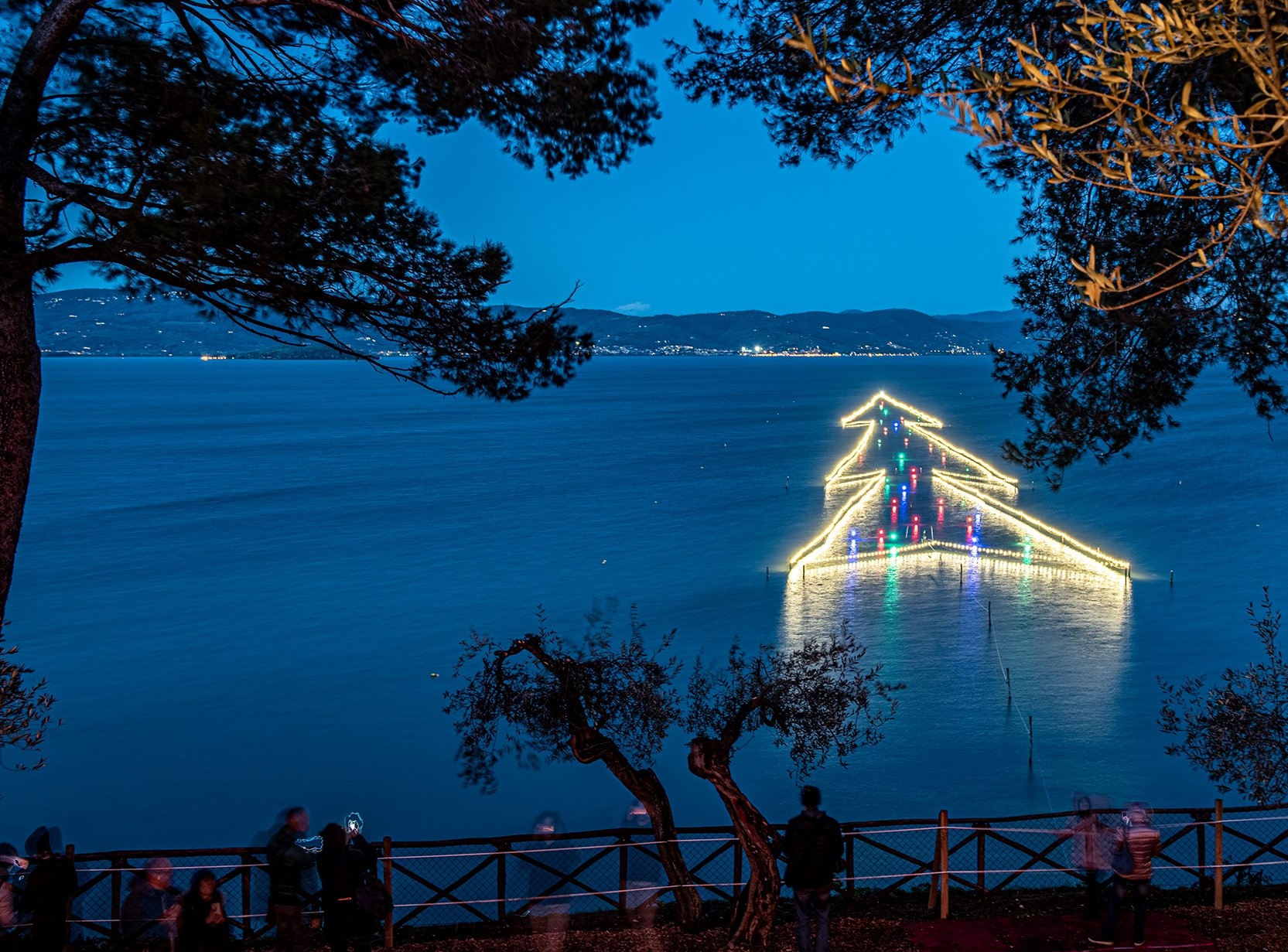 Albero di Natale Trasimeno